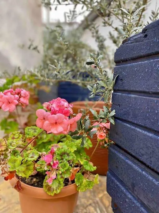 Yaka Tas Ev - Datca Palamutbuekue'Ne Cok Yakin Oezel Tas Ev 0*, Yaka (Mugla)